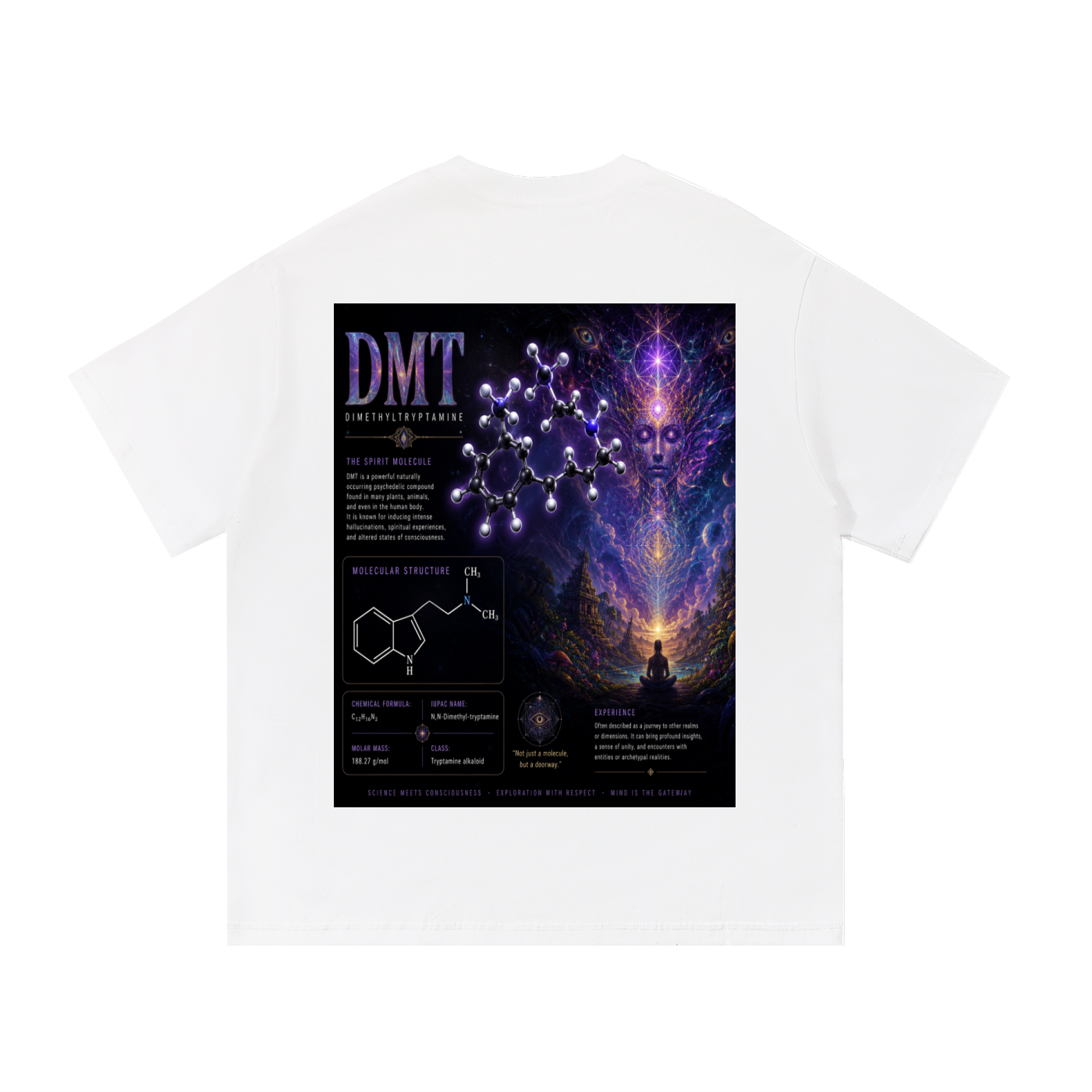 DMT Essential Cotton T-Shirt