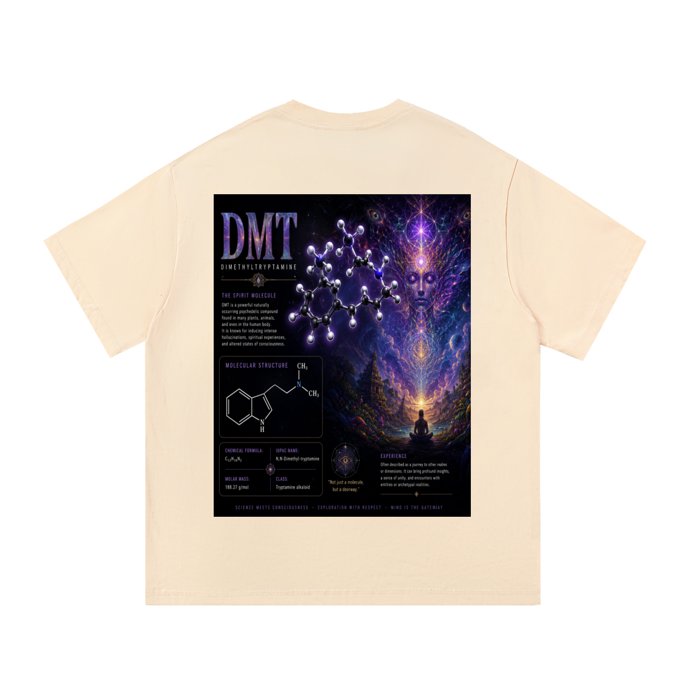 DMT Essential Cotton T-Shirt